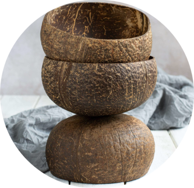 Jumbo Coconut Bowl (3x Bundle)